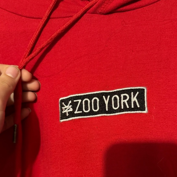 Zoo York Hoodie - Picture 3 of 5